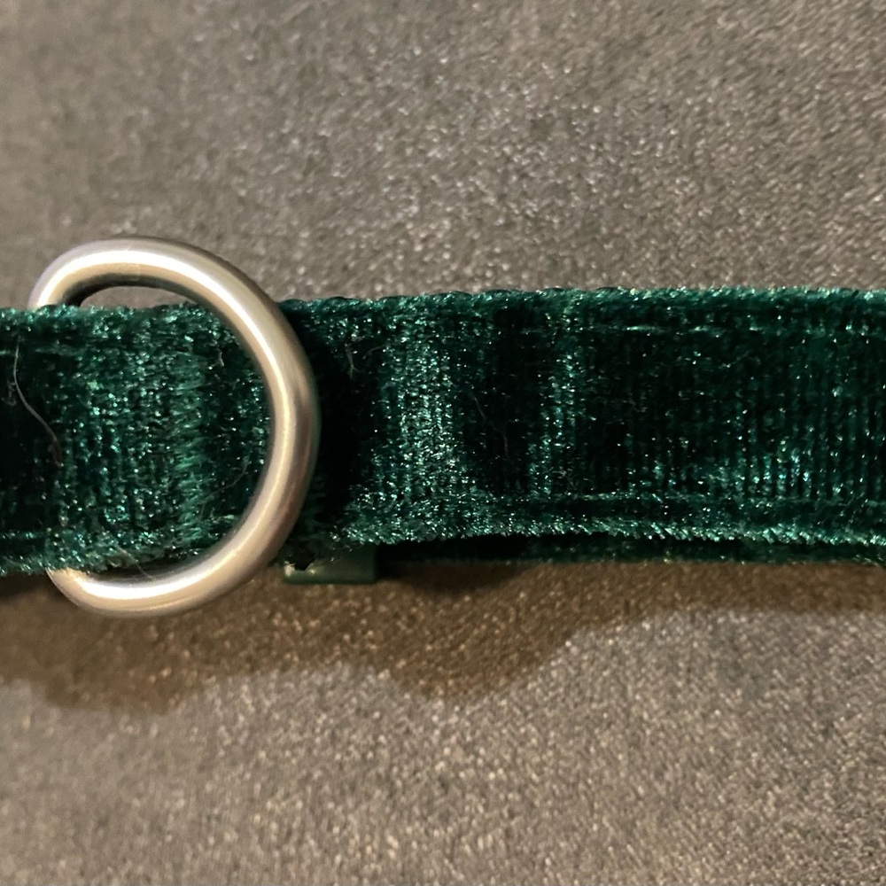 Dog Collar Small